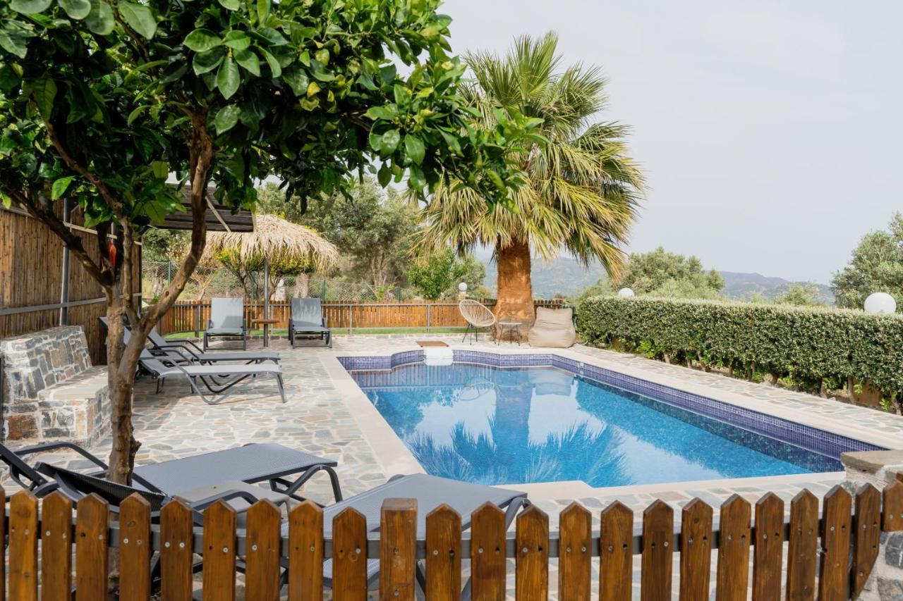 Dafni Villa A Place To Visit Orne エクステリア 写真